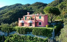 La Vignana - 5 Terre